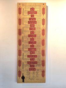 עבודה של אסנת ברק - אין לי ארץ אחרת