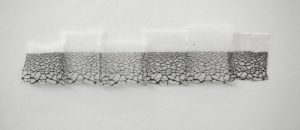 צמאון. נועה הגלעדי