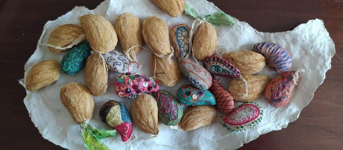 זרעי תערוכה